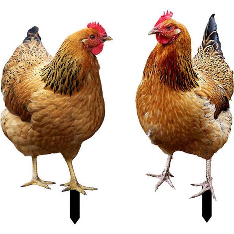 Coq décoratif piquet jardin extérieur, ornement animal poule poulet décoration jardin 8 pièces.