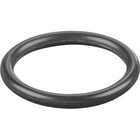 Rems O-Ring 060383