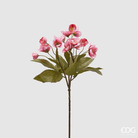 EDG Enzo De Gasperi Ramo Elleboro H 57 Cm Rosa Pesca