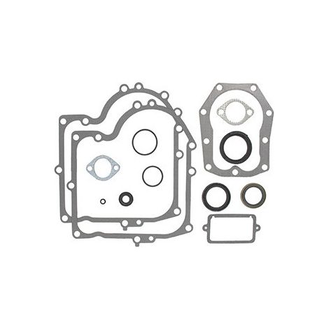 Dichtungssatz motor BRIGGS et STRATTON 490525 - 494241