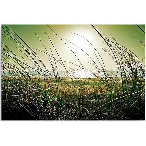 Tableau herbe côtière - 100 x 70 cm (1/5)