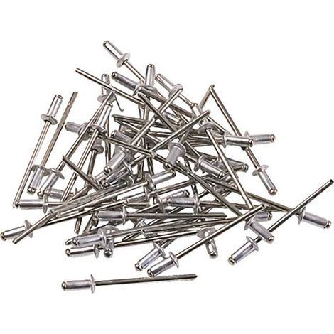 (Graue) Nieten – 4 verschiedene Durchmesser: 2,4, 3,2, 4 und 4,8 mm, jeweils 50 Nieten.