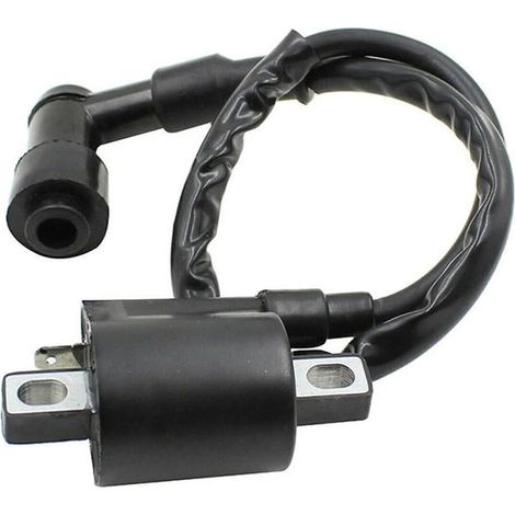 Pièces de bobine d'allumage Yamaha 3KJ-82310-10-00 3FA-82310-00-00 DT50 RX50 (1/4)