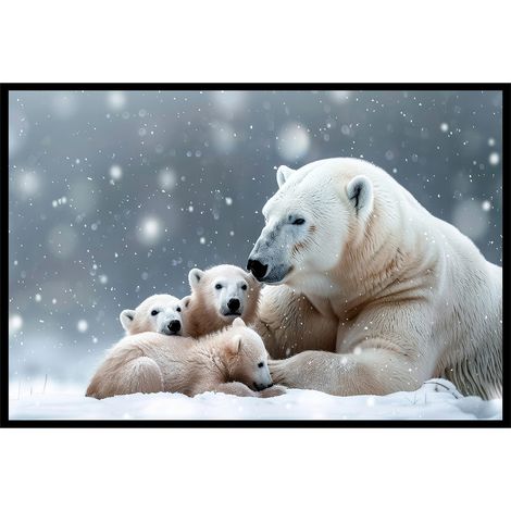 Affiche encadrée famille ours polaires (1/5)