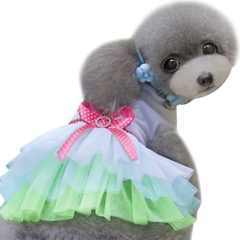 Robe Pour Chien - Jupe En Coton Et Tulle - Vêtement Printemps Été - Pour Petite Race - Lot De 2 (1/5)