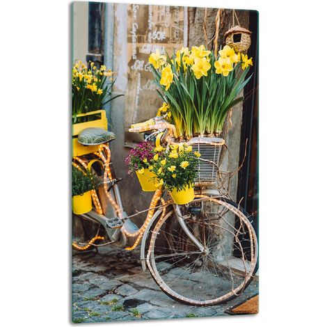 Glasplatte, Tischplatte, 30x52 cm, Fahrrad (1/5)