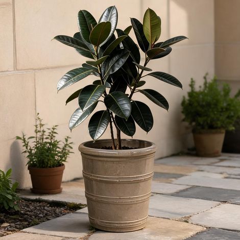 Pot de fleurs en céramique taupe Ø 40,5 cm fait main (1/5)