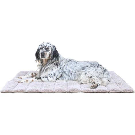 Grand Tapis Chien Rectangulaire Beige - Soulage et Préserve Les Articulations - Panier Chien Réversible été/Hiver et Facile à Transporter - Ne se déforme Pas et Lavable en Machine (1/5)