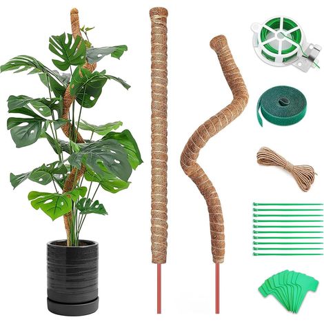 Monstera Trellis, Pack of 2 120 cm Plant Stakes, Coconut, Flexible Plant Support, Moss Rod for Monstera, Coconut Rod for Plants, Plant Support (1/5)