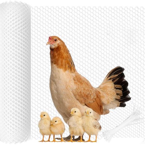 Clôture en plastique - Rouleau de 0,4 m x 10 m - pour volaille, barrière animale, fleurs, jardinage - Solution de clôture en plastique et filet de jardin (1/5)