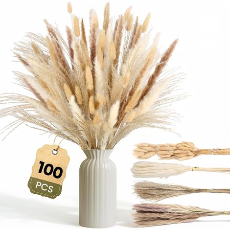 Pampas Sechees Decoration, 100 Pièces Fleurs Séchées Naturelles (1/5)