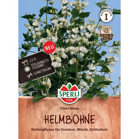 Sperli Helmbohnen Silver Moon - Blumensamen (1/2)
