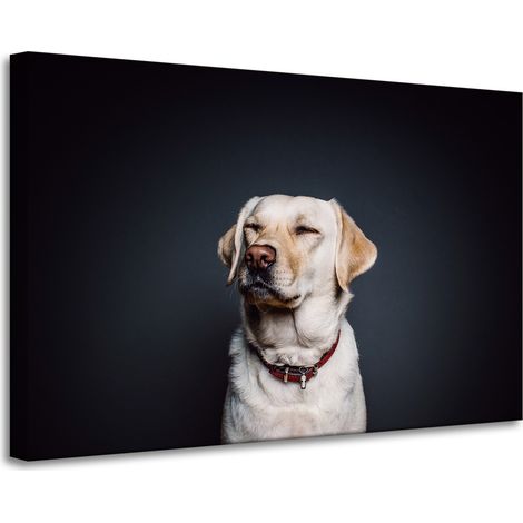 Lienzo impreso con diseño de animales (perro) sobre fondo negro, 90 x 60 cm.