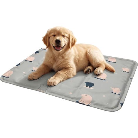 Tapis de refroidissement pour chien 40 x 30 cm (1/5)