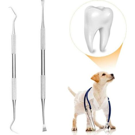 Détartreur et grattoir dentaire professionnel pour chien, dissolvant de tartre (1/3)