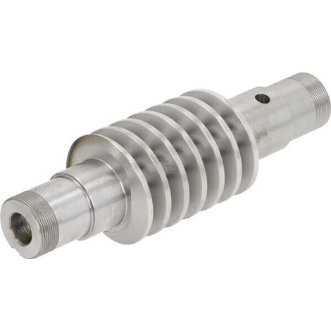 Tornillo sin fin BATTIONI PAGANI 4020006005 (1/2)