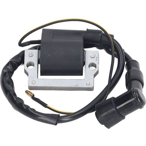 Bobine d'allumage 12V de rechange pour XL185 XL XR 70 75 80 100 125 175 185 200 250 (1/5)