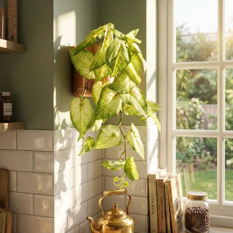 Artificial 25cm Trailing Variegated Caladium Vine Plant Light Green (1/4)