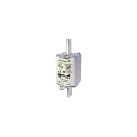 Fusible NH1 100A 800V CA GG