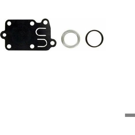 Kit Membrane Ressort Joint - Briggs & Stratton réf 270026 - Adaptable (1/4)