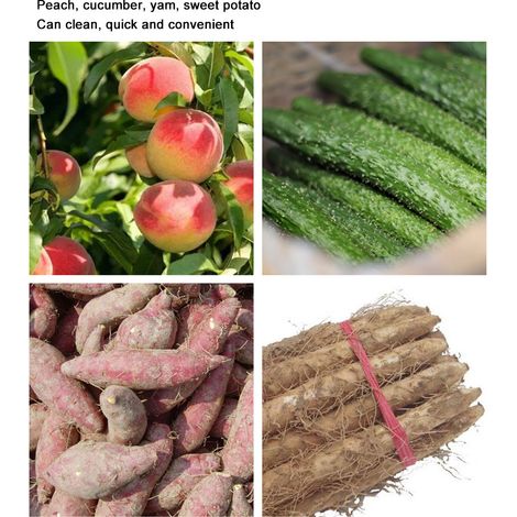 Brosse à récurer pour légumes, outil de nettoyage pour la cuisine, brosse pour carottes et pommes de terre, outil de cuisine (1/5)