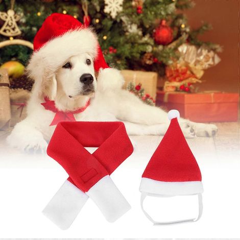 Adorable costume de Père Noël pour chien, chaton ou petit animal de compagnie : bonnet, écharpe et collier. (1/2)