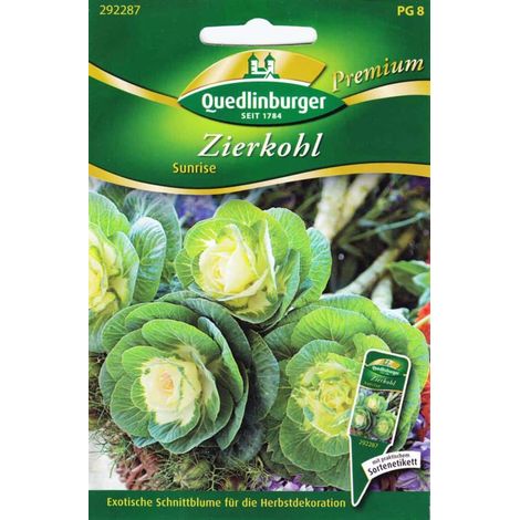Quedlinburger Zierkohl Sunrise - Blumensamen (1/2)