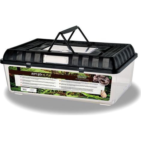 Transportbox aus Kunststoff mit abnehmbarem Deckel, 42 x 26 x 16 cm, für Reptilien, Amphibien und Insekten (1/5)