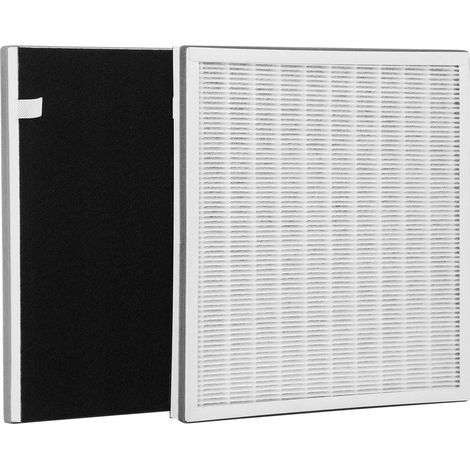 Filtro aria 3 in 1 per Webber AP8400 AP8410 hepa 13 originale (1/5)