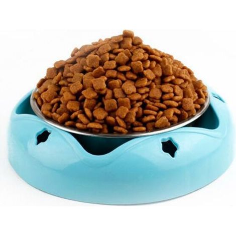 Bol pour animaux de compagnie en acier inoxydable antidérapant Bol pour chat durable (1/5)