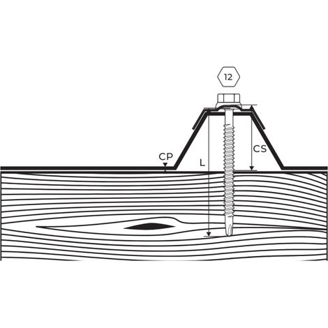 Vis Autoperceuse Zamatop Bois Tête Hexagonale 12 Ø 6.3X100 Laqué RAL 7022 (1/2)