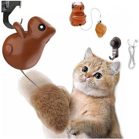 Jouet pour chat écureuil suspendu rechargeable, jouet interactif sauteur pour chat (1/4)