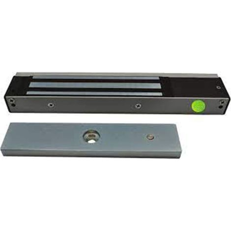 Izyx EMS600C Ventosa da superficie 300kg