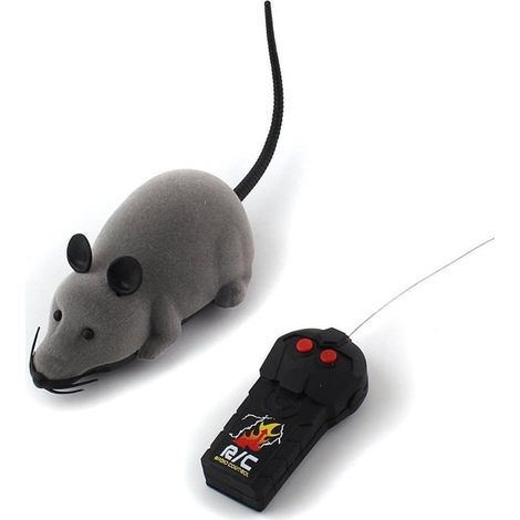 Jouets interactifs pour chats d'intérieur : roue de course télécommandée sans fil pour chatons et autres animaux de compagnie. (1/3)