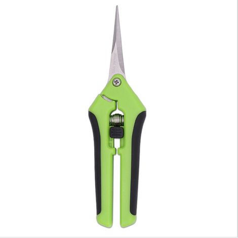Filiyano-Tondeuse de précision, lames antiadhésives, lot de 2, verte (1/5)