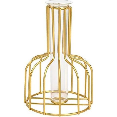 Nordic Ins Vase hydroponique en fer forgé doré ornements pour salon, table, bureau, fleurs séchées avec radis vert hydroponique (or) (1/5)
