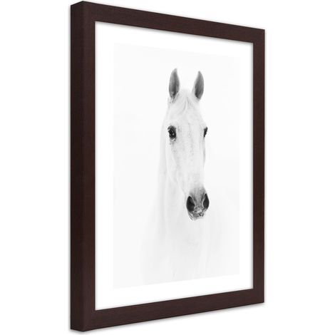 Quadro con cornice, Cavallo grigio - 40x60 (1/5)