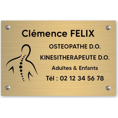 Plaque professionnelle PVC 30x20 Personnalisée avec Logo | Kinésithérapeutes - Or lettres noires (1/3)