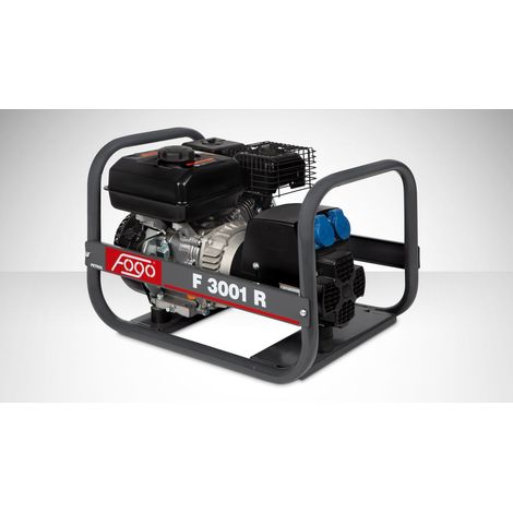 FOGO F 3001 R Benzin-Stromerzeuger AVR 2,7 kW 230 V (1/5)