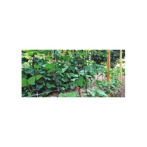 Supporto piante steel up 16x210 cm