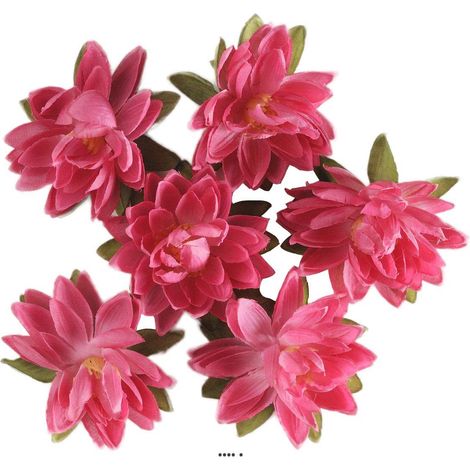 têtes de Lotus X6 Rose Fuschia en sachet D 7 50 cm - couleur: Rose fushia 730