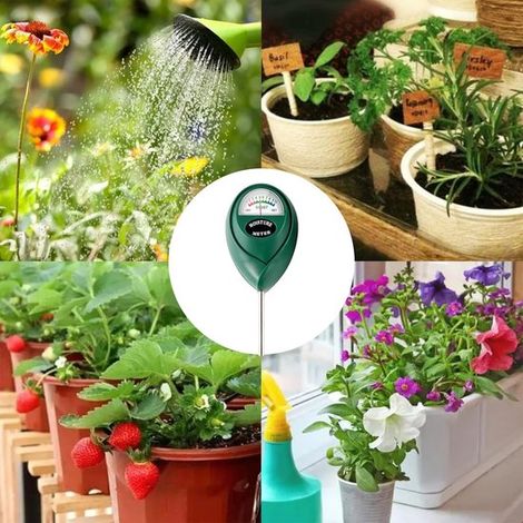 Misuratore di umidità del terreno per la cura delle piante, non necessita di batterie. (1/5)