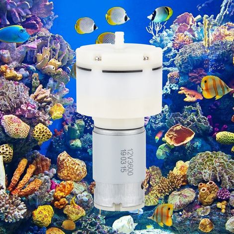 Pompe à vide en plastique pour aquarium, moteur à oxygène supplémentaire (1/5)