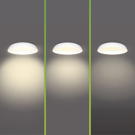 Philips Fleta Deckenleuchte Warmweißes Licht - SceneSwitch 10 W (1/5)