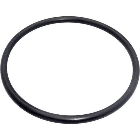 O-Ring für Zodiac Ei und Ei2 Expert Salzchlorinator-Zellelektrode
