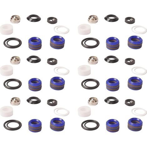 6X 244194 Kit D'Emballage de Réparation de Pompe pour Pulvérisateur de Peinture Sans Air 295 390 395 490 495 595 3400 Aftermarket (1/5)