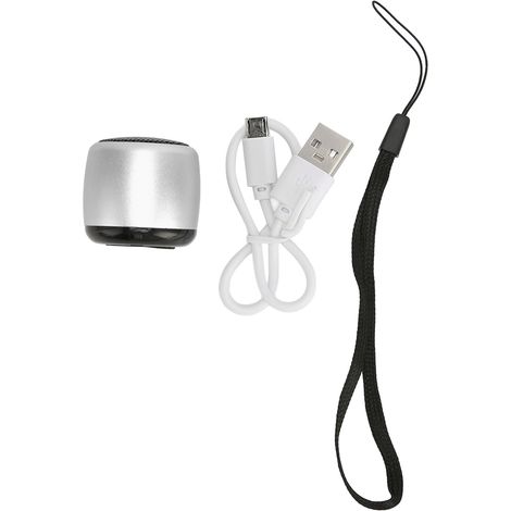 Enceinte Bluetooth Mini avec Subwoofer Puissant, Rechargeable USB, Portable Métallique pour Téléphone, Tablette, PC - Argent (1/5)