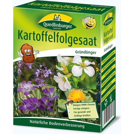 Quedlinburger Gründünger Kartoffelfolgesaat Bodenverbesserer für ca. 300 m² 300 g - Faltschachtel (1/2)
