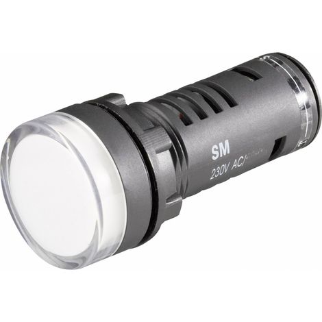 Voyant de signalisation LED Barthelme 58623013 vert 230 V/AC 1 pc(s) Q35856