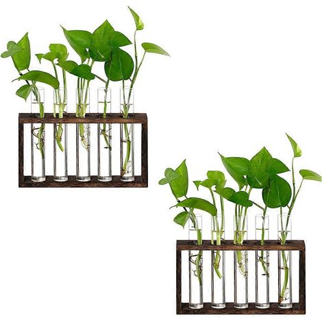 Terrarium mural en verre avec support en bois, composé de 5 tubes, pour la propagation de plantes hydroponiques. Pot de fleurs de bureau ou de table. (1/5)